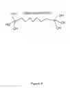 Fig. 07 - Compositions and methods for array-based genomic nucleic acid analysis of biological molecules