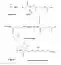 Fig. 08 - Compositions and methods for array-based genomic nucleic acid analysis of biological molecules