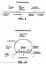 Fig. 02 - Direct multiplex characterization of genomic DNA