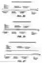 Fig. 04 - Direct multiplex characterization of genomic DNA