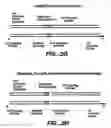 Fig. 05 - Direct multiplex characterization of genomic DNA
