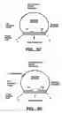 Fig. 07 - Direct multiplex characterization of genomic DNA