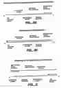 Fig. 12 - Direct multiplex characterization of genomic DNA