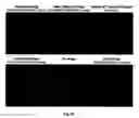 Fig. 24 - Biological control of nanoparticle nucleation, shape and crystal phase