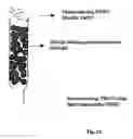Fig. 28 - Biological control of nanoparticle nucleation, shape and crystal phase