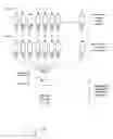 Fig. 03 - Creation of functionalized microparticle libraries by oligonucleotide ligation or elongation