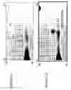 Fig. 30 - Focused microarray and methods of diagnosing chemotherapeutic drug resistance in a cancer cell