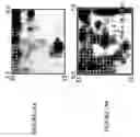 Fig. 34 - Focused microarray and methods of diagnosing chemotherapeutic drug resistance in a cancer cell