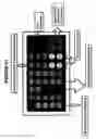Fig. 68 - Focused microarray and methods of diagnosing chemotherapeutic drug resistance in a cancer cell