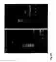 Fig. 07 - Probes and methods for identifying polycyclic aromatic hydrocarbon-degrading mycobacteria