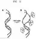 Fig. 03 - Method of and apparatus for the purification of nucleic acids using immobilized metal-ligand complex