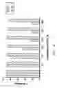 Fig. 10 - Selection of peptides with antibody-like properties