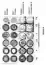 Fig. 10 - Detection and recognition of analytes based on their crystallization patterns