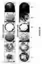 Fig. 15 - Detection and recognition of analytes based on their crystallization patterns