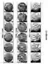 Fig. 16 - Detection and recognition of analytes based on their crystallization patterns