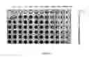 Fig. 13 - Proteolipid membrane and lipid membrane biosensor