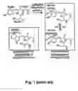 Fig. 02 - Teal fluorescent proteins (mTFP1)