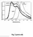Fig. 03 - Teal fluorescent proteins (mTFP1)