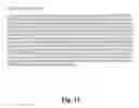 Fig. 12 - Teal fluorescent proteins (mTFP1)