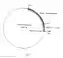 Fig. 04 - Use of a fluorescent protein for detecting interactions between a target protein and its ligand