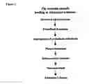 Fig. 02 - Methods for the identification of agents that modulate the structure and processing of a membrane bound precursor protein