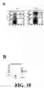 Fig. 11 - Methods and compositions related to joint inflammation diseases