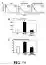 Fig. 15 - Methods and compositions related to joint inflammation diseases
