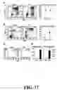 Fig. 18 - Methods and compositions related to joint inflammation diseases