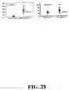 Fig. 31 - Methods and compositions related to joint inflammation diseases