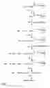 Fig. 02 - Peptide for assaying hERG channel binding