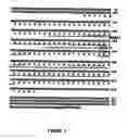 Fig. 03 - Antibodies for identification of murine fragilis extracellular domain and methods for identifying pluripotent cells