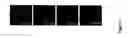 Fig. 04 - Antibodies for identification of murine fragilis extracellular domain and methods for identifying pluripotent cells