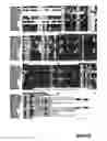 Fig. 12 - Antibodies for identification of murine fragilis extracellular domain and methods for identifying pluripotent cells