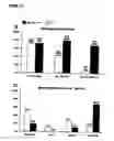 Fig. 25 - Antibodies for identification of murine fragilis extracellular domain and methods for identifying pluripotent cells