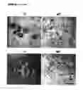 Fig. 26 - Antibodies for identification of murine fragilis extracellular domain and methods for identifying pluripotent cells