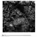 Fig. 15 - Method for assessing biofilms