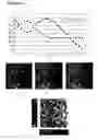 Fig. 16 - Method for assessing biofilms