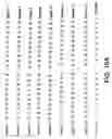 Fig. 26 - Assays based on liquid flow over arrays
