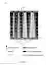 Fig. 07 - Methods to increase dynamic range and improve quantitative analysis in rapid biosensors