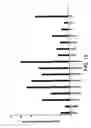 Fig. 13 - Novel nucleic acid sequences encoding G-protein coupled receptors
