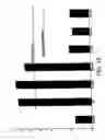 Fig. 20 - Novel nucleic acid sequences encoding G-protein coupled receptors