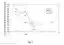 Fig. 07 - Process
