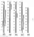 Fig. 02 - DNA encoding mammalian phosphodiesterases