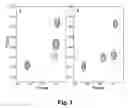 Fig. 02 - Use of selective labeling to detect and characterize molecular interactions by nuclear magnetic resonance spectroscopy