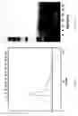 Fig. 04 - Method and device for improving protein stability and solubility