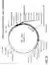Fig. 100 - HIV vaccines based on Env of multiple clades of HIV