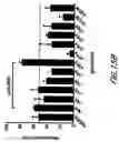 Fig. 37 - HIV vaccines based on Env of multiple clades of HIV