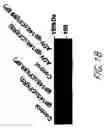 Fig. 42 - HIV vaccines based on Env of multiple clades of HIV