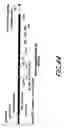 Fig. 68 - HIV vaccines based on Env of multiple clades of HIV