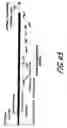 Fig. 69 - HIV vaccines based on Env of multiple clades of HIV